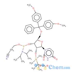 CAS No:118362-03-1 5'-O-(4,4-Dimethoxytrityl)-2'-O-[(tert-butyl)dimethylsilyl]uridine-3'-(2-cyanoethyl-N,N-diisopropyl)phosphoramidite5'-O-DMT-2'-TBDMS-rU-3'-CEDPA5'-O-(4,4-Dimethoxytrityl)-2'-O-[(tert-butyl)dimethylsilyl]uridine-3'-(2-cyanoethyl-N,N-diisopropyl)phosphoramidite5'-O-DMT-2'-TBDMS-rU-3'-CEDPA