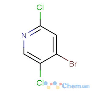 CAS No:1184917-16-5 4-bromo-2,5-dichloropyridine