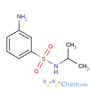 CAS No:118837-66-4 3-amino-N-propan-2-ylbenzenesulfonamide