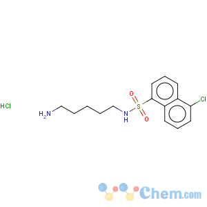 CAS No:118896-95-0 2-Naphthalenesulfonamide,N-(5-aminopentyl)-5-chloro-, hydrochloride (1:1)