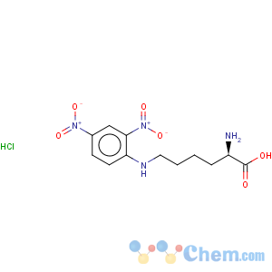 CAS No:118896-99-4 D-Lysine,N6-(2,4-dinitrophenyl)-, monohydrochloride (9CI)