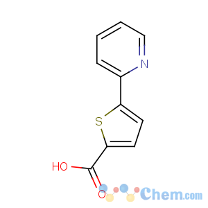 CAS No:119082-97-2 5-pyridin-2-ylthiophene-2-carboxylic acid