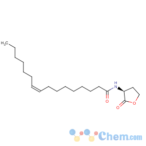 CAS No:1192-20-7 2(3h)-furanone,3-aminodihydro-(8ci,9ci)