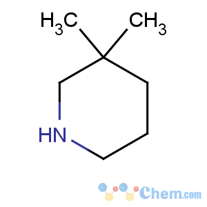 CAS No:1193-12-0 3,3-dimethylpiperidine