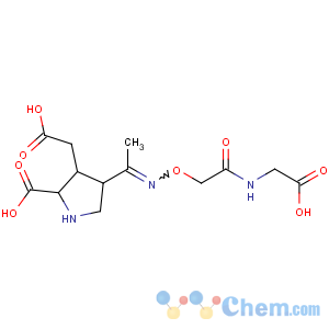 CAS No:119320-06-8 3-Pyrrolidineaceticacid, 2-carboxy-4-[1-[[2-[(carboxymethyl)amino]-2-oxoethoxy]imino]ethyl]-,[2S-(2a,3b,4b)]- (9CI)