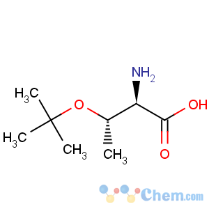 CAS No:119323-52-3 H-D-allo-Thr(tBu)-OH