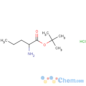CAS No:119483-47-5 tert-butyl (2S)-2-aminopentanoate