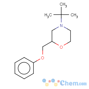 CAS No:119491-60-0 Morpholine,4-(1,1-dimethylethyl)-2-(phenoxymethyl)-