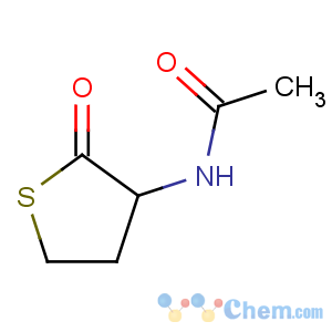 CAS No:1195-16-0 N-(2-oxothiolan-3-yl)acetamide