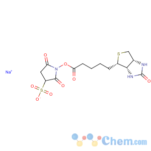 CAS No:119616-38-5 Biotin 3-sulfo-N-hydroxysuccinimide ester sodium salt