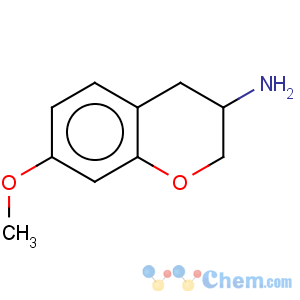 CAS No:119755-64-5 2H-1-Benzopyran-3-amine,3,4-dihydro-7-methoxy-