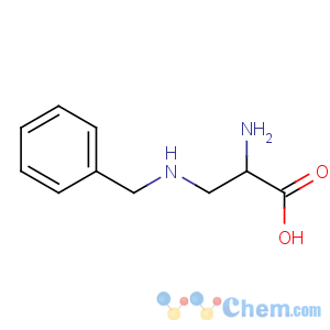 CAS No:119830-32-9 2-amino-3-(benzylamino)propanoic acid