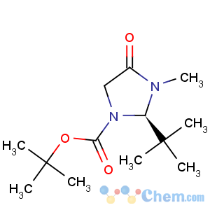 CAS No:119838-44-7 1-Imidazolidinecarboxylicacid, 2-(1,1-dimethylethyl)-3-methyl-4-oxo-, 1,1-dimethylethyl ester, (2R)-