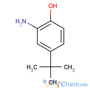 CAS No:1199-46-8 2-amino-4-tert-butylphenol