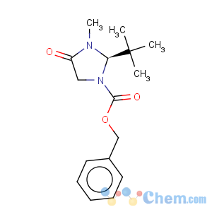 CAS No:119906-46-6 (r)-1-z-2-tert-butyl-3-methyl-4-imidazolidinone