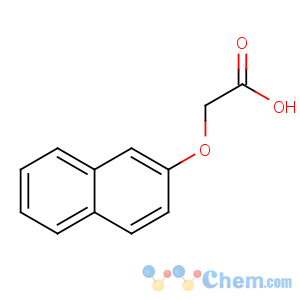 CAS No:120-23-0 2-naphthalen-2-yloxyacetic acid