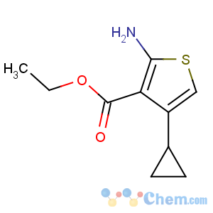 CAS No:120109-75-3 3-Thiophenecarboxylicacid, 2-amino-4-cyclopropyl-, ethyl ester