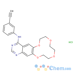 CAS No:1204313-51-8 Icotinib (Hydrochloride)