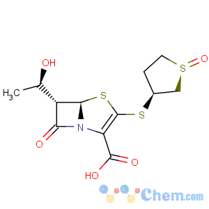 CAS No:120788-07-0 4-Thia-1-azabicyclo[3.2.0]hept-2-ene-2-carboxylicacid,6-[(1R)-1-hydroxyethyl]-7-oxo-3-[[(1R,3S)-tetrahydro-1-oxido-3-thienyl]thio]-,(5R,6S)-
