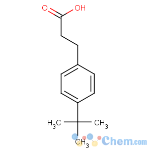 CAS No:1208-64-6 3-(4-tert-butylphenyl)propanoic acid