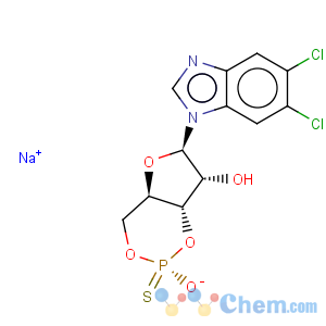 CAS No:120912-54-1 1H-Benzimidazole,5,6-dichloro-1-[3,5-O-[(S)-mercaptophosphinylidene]-b-D-ribofuranosyl]- (9CI)