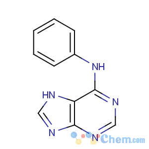 CAS No:1210-66-8 9H-Purin-6-amine,N-phenyl-