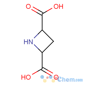 CAS No:121050-04-2 azetidine-2,4-dicarboxylic acid