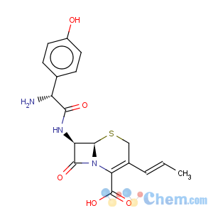 CAS No:121123-17-9 Cefprozil hydrate