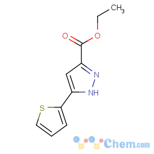 CAS No:121195-03-7 ethyl 5-thiophen-2-yl-1H-pyrazole-3-carboxylate