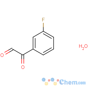 CAS No:121247-01-6 2-(3-fluorophenyl)-2-oxoacetaldehyde