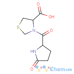 CAS No:121808-62-6 (4R)-3-[(2S)-5-oxopyrrolidine-2-carbonyl]-1,3-thiazolidine-4-carboxylic<br />acid
