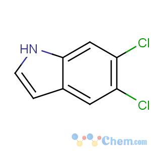 CAS No:121859-57-2 5,6-dichloro-1H-indole