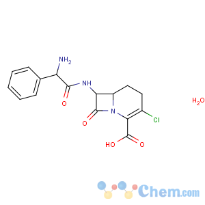 CAS No:121961-22-6 1-Azabicyclo[4.2.0]oct-2-ene-2-carboxylicacid, 7-[[(2R)-2-amino-2-phenylacetyl]amino]-3-chloro-8-oxo-, hydrate (1:1),(6R,7S)-