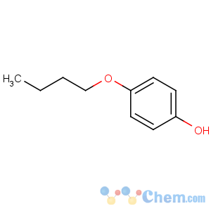 CAS No:122-94-1 4-butoxyphenol