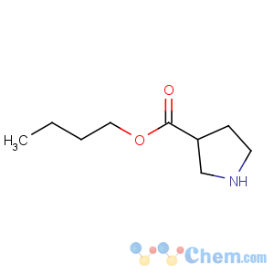 CAS No:122079-54-3 butyl pyrrolidine-3-carboxylate