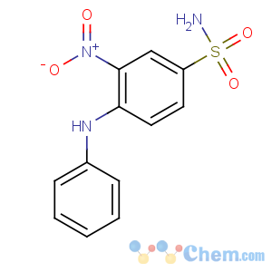 CAS No:12223-84-6 Benzenesulfonamide,3-nitro-4-(phenylamino)-