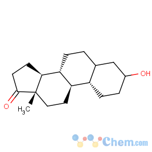 CAS No:1225-01-0 Estran-17-one,3-hydroxy-, (3a,5a)-