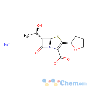 CAS No:122547-49-3 Faropenem sodium