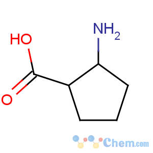 CAS No:122672-46-2 (1R,2S)-2-aminocyclopentane-1-carboxylic acid