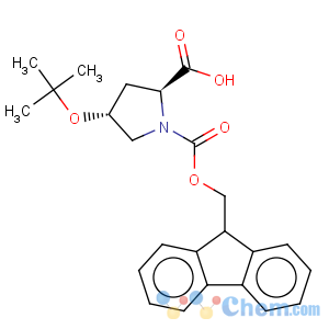 CAS No:122996-47-8 Fmoc-4-tert-butoxy-L-proline