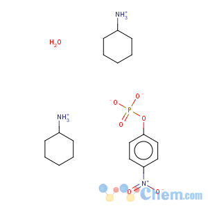 CAS No:123334-11-2 4-nitrophenyl phosphate di(cyclohexylamine) salt monohydrate