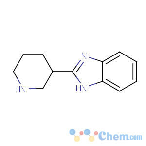 CAS No:123771-23-3 2-piperidin-3-yl-1H-benzimidazole