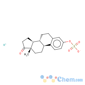 CAS No:1240-04-6 Estra-1,3,5(10)-trien-17-one,3-(sulfooxy)-, potassium salt (9CI)