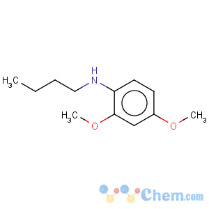 CAS No:124006-23-1 Benzenamine,N-butyl-2,4-dimethoxy-