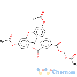 CAS No:124412-00-6 Spiro[isobenzofuran-1(3H),9'-[9H]xanthene]-5-carboxylicacid, 3',6'-bis(acetyloxy)-3-oxo-, (acetyloxy)methyl ester