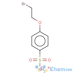 CAS No:125174-28-9 Benzenesulfonamide, 4-(2-bromoethoxy)-