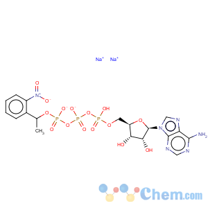 CAS No:125229-58-5 Adenosine 5'-triphosphate p3-[1-(2-nitrophenyl)ethyl ester] disodium salt