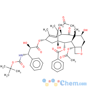 CAS No:125354-16-7 Docetaxel