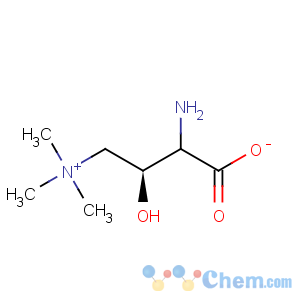 CAS No:125377-87-9 (s)-amino carnitine