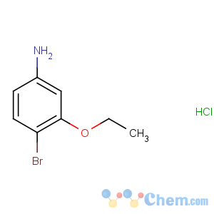 CAS No:125756-95-8 4-bromo-3-ethoxyaniline